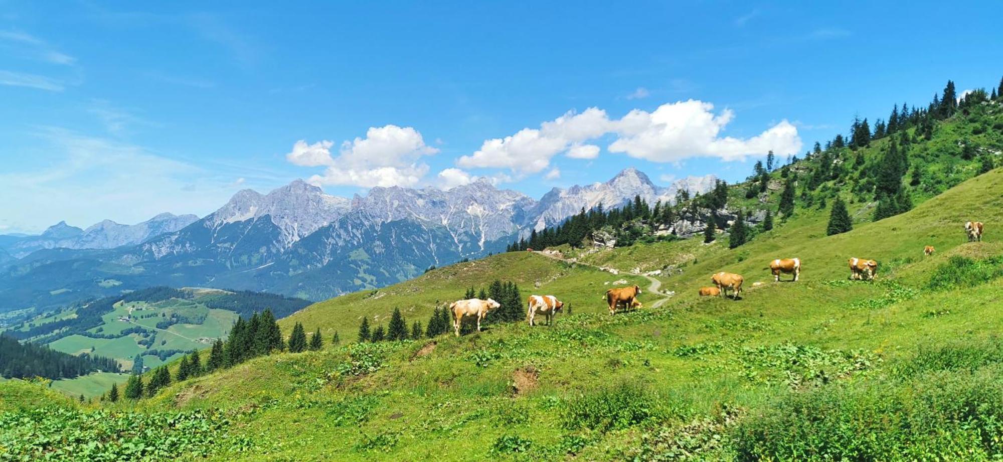 Maria Alm - Cozy & Modern Apartment Mountain View Зальфельден Экстерьер фото